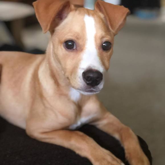 Meet your Posher, Tina - Picture 1 of 1